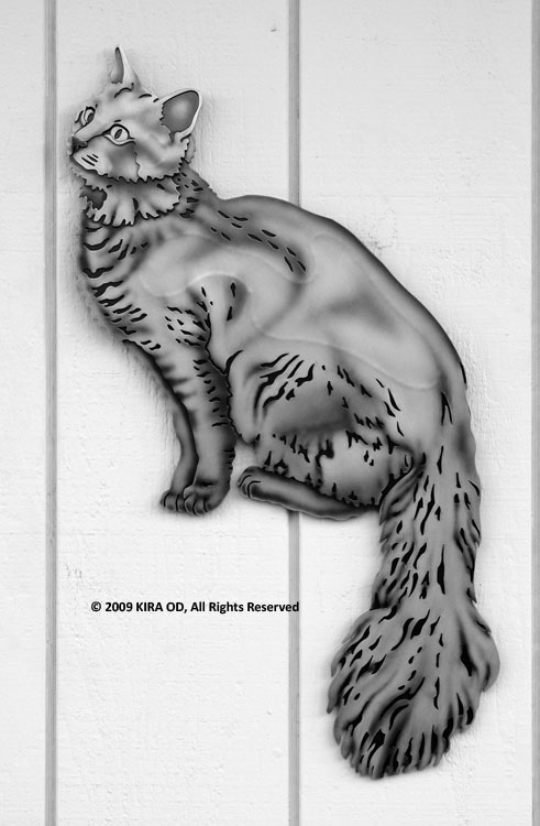 WEBCAT JPEGs X-LARGE/C-0_WebCat_XL_Betsy_PATINA_3946.jpg
